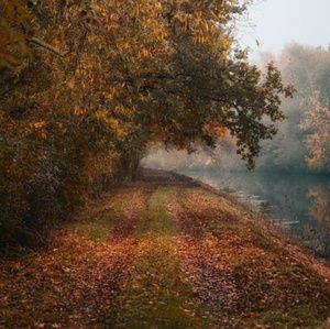 Meet your Posher, Real